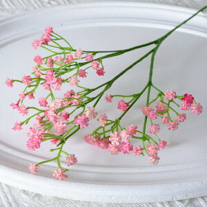 ݑ  10{Zbg { A[eBtBVt[ ԑ EFfBO   O CeA t[AWg  zCg H52cm ƒp Xܗp