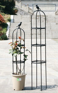 X[IxXN [YIxXN a24cm 120 150 180cm  K[fIxXN o   x x KN o ΂ N}`X K[fjO gX x ؉ | 