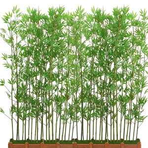 [ lH  Ȃ΂ fR[V ̑ ̗t fBXvC K[fjOtFX |_  V~[V| Ηt tFX p[eBV lHA