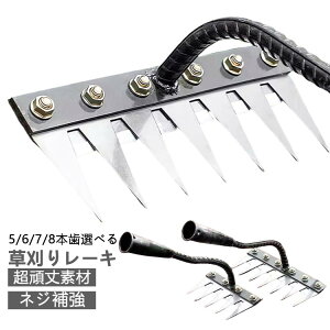 K[f[L G΍ 5/6/7/8 XeX  K[fjO F y 背[L 5/6/7/8{ pr  G G Yf|[L 蓹 pr t| c 