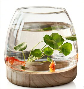    _J   e  KXԕr ~j KX Ȑ  ȊۂȃKXԕr ؐx[XtfXNgbv ϏܐAz_[ 