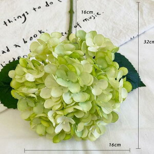   t rbO A[gt[ 16cm X AWTC {[ z[ A ItBX z  ͂Ȃ CeA AWTC    rO C~e[V