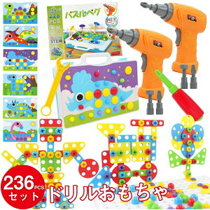 ܂܂ H  m炨 dႨ j̎q d h 2I m ߋ j̎q DIY H  a NX}X v[g STEM  pY yO 236PCS