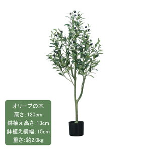 I[u̖ 120cm tFCNO[ t z̎ ϗtA  tFCN ȒP sv lHϗtA I[u̎ CeA  A rO   z 