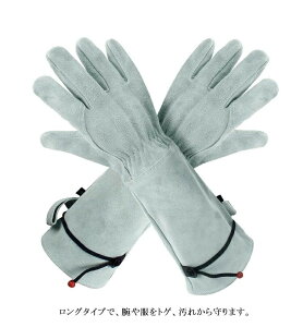 �����O �g�Q �K�N�O���[�u ���� �o�� ���f�B�[�X �K�N�p��� ��� �����Y �o���p �Ƃ��h�~ �o���O���[�u �o����� �K�[�f�j���O�O���[�u ���| �_��� �A�� ���� �K�[�f�j���O���