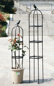 X[IxXN 150cm a30mm  |pi o KN IxXNA[` v^[  |pi Aؔ A  gݗ x | ƒ؉ 