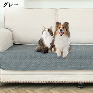 \t@Jo[ h ybg \t@[pbh  ʂ ʃJo[ 3l| 2l| IȂ xbhJo[ \t@pbh xbhXvbh  k Lg   ~ S