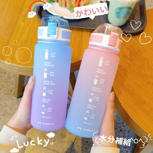  ^b` ڐt Đ 650ml/850ml/1100ml EH[^[{g ^C}[J[  1bg LbY  jp gѕ֗ Rh~ e y   X|[c 킢