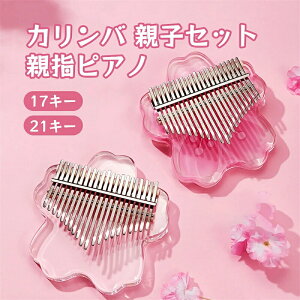 Jo eqZbg 17L[ 21L[ ewsAm AN J[gD[yCgς F򂹂Ȃ gїpwsAmZbg SҌ pیP[Xt `[jOn}[