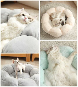 ybgnEX LbgnEX Lxbh Ck lR hbOnEX  xbh ^E^pxbh  ӂӂ g _炩 Q Ԍ^@ybgpi@ L xbh piELpi N