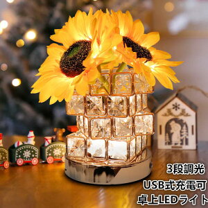 Ђ܂LEDCg Q CeA  LEDC~l[VCgUSB[d3iRGBϊCgドCg v ͋C gF ^b`J NX}X v[g 