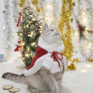 NX}X L NX}X P[v }g RXv Xmas T^N[X    m ybg RXv RX`[ T^ P[v T^[u ߑ   hbOEFA NX}X}