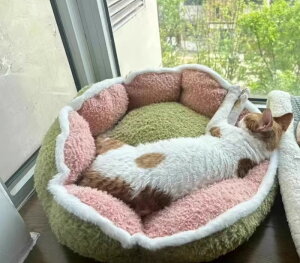 ybgxbh ۂ xbhxbh  ~` J{`  pvLnEX ~  nEX  ~ ybg xbh 􂦂 Lxbh xbh ybgnEX {悹 NbV ybg\t@ 