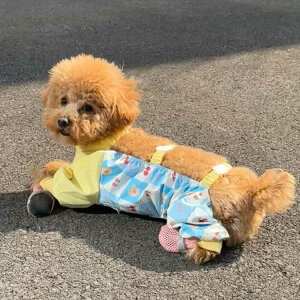 킢 pbOJo[  Op h ~ EȂ  Cpc o hbOEFA U h~ ybgpi pbOJo[ ^ ^ m ho