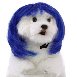  ybgpEBbO nEB  Jc  ybgpEBbO ObY Jc RXv EBbO Xqϐg Lbv Lp Ԃ wAANZT[ ʔ RX`[ ϐg