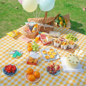 ʖh W[V[g  NbV 唻 A~ h sNjbNV[g sNjbN}bg ܂肽  200cm×150cm 200×200cm 200×300cm 4l 5l 6l ^ r[` C ԉΑ AE