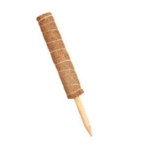 Ax 3{Zbg |x Xex 30cm 40cm 50cm A ϗtx K[fjOp x  鐫A VRRRibc A  ؐ t[X^h U AT|[g 