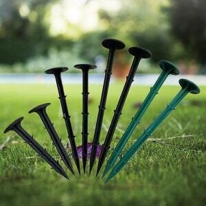 s Œ Y 11cm 16cm PPY hV[g V[g B 25cm }Y s |V[g 20cm 30cm hV[g V[g V[g Œp Œs _ Ԃt ɂ 