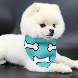 ybgp X^C Op`  p 悾ꂩ 킢 XJ[t Lp Gv hbOEFA   ̕ \ ANZT[ ybgpi 