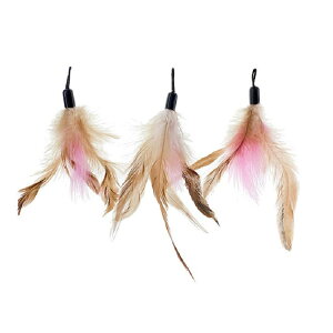  t  ybgpi O ˂炵 H wbh9 L炵 Zbg XgXU L 5{Zbg lR _ LbggC S L炵  킢  