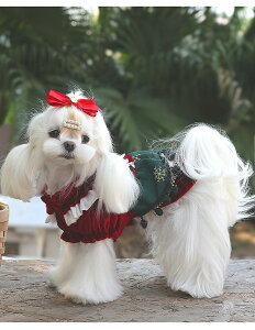  ybg H~ xxbg xA  s[X ^ hbOEFA іh~ h p  킢 qp phX gCv[h ` |jA _bNX 