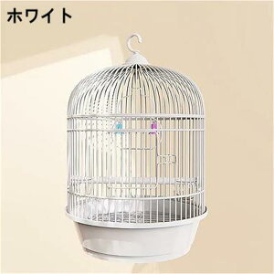 IJCR P[W ی^  _F GT2 o[hP[W nht  P[W  Ƃ肩 CeA  ^    P[W Zbg CRP[W ړ