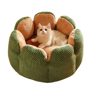 ybgxbh ~ Lpxbh ybgnEX ی^ ۉ ӂӂ 􂦂 N[V 킢 ybgxbh  ~ ΍ ybgpi g