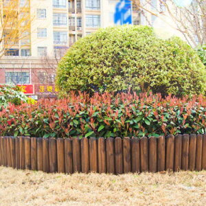 K[fjO rB EbhtFX h t[tFX ؐ Jo[ B c[XJ[g ډB  120cm NX}Xc[ Ԓd EbhtFX  O d؂ ͂ N