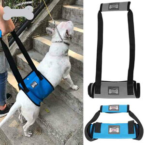  pn[lX s⏕ n[lX ppi 둫 V sT|[g PApi  bV \tg 㑫 T|[gn[lX [h ^ ^ ^ p ybgp  