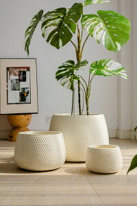 v^[ }OlVE Aؔ }OlVEv^[ ی^ Vv K[fjO  O Ԓd k  i`  ƒ؉ CeA