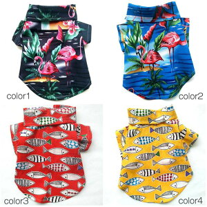 �A���n�V���c �ĕ� �h�b�O�E�F�A ������ �O�J�� T�V���c ���� �y�b�g�� �� �� �A���n�� ���� ���킢�� ���U�� ���o���� ���s �C ����