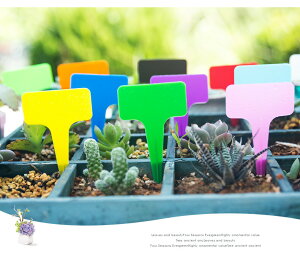 |x A^O | l[v[g 100 T^x } vX`bNx A^O Ax | Ԓd A K[fjO Ďgp\ K[fjOpi Ŕ ~j 