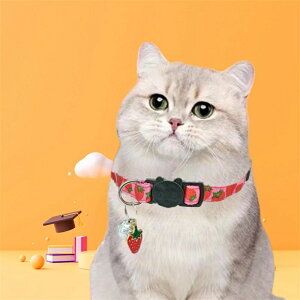 L ʕ ANZT[ t ybg  Lp y Z[teBobNt ߉\  ^Kp ˂ O