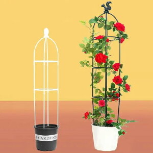  gX v^[ 鐫A   IxXN 2/3/4i  AT|[g op x Ԏx o |pi ߉\ ȒP K[f K[fjO U KN IxX