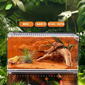 ঒ރP[W ANP[W ঒ P[X  ʋCP[W a eAN P[X P[X ঒ޗpP[W gJQ/N//^/ȂǓKp