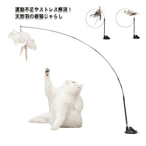 L zՎ L炵 ˂  LI` VR̉H_t lV ^s XgXU L̂  Lp GNTTCY 4_Zbg  킢 