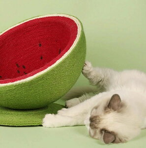 L ܂Ƃ  |[  XCJ ˂ ߂Ƃ Sg ܌ Lp ܖ  Lbg ^[ CeA XgX ^sP Ƌjh~ VRTCU gݗĊȒP 