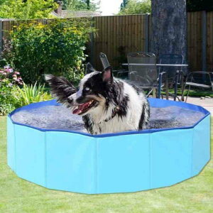 v[ qp ybgp oXObY ܂肽ݎ Csv Vуv[ 120@150 ^ ^ ƒp xr[ ܂ eqV LCi V[pv[ oX^u {[v[