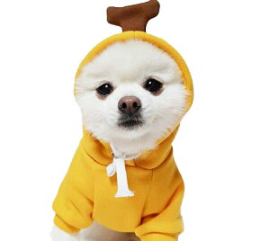 n[g ybg L  h  lC mH~  hbOEFA Lpi Uo RR ybgm ~pR[g ΍ g ^