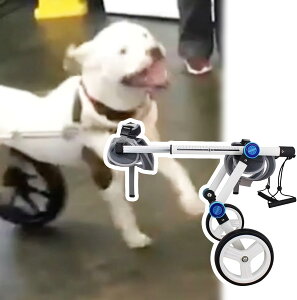 pԈ֎q ^/^pԈ֎qAy 2փA~J[g tg⏕AL//qp߉\ybgnrJ[g (TCY: S TCY)