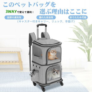 L 2 C L[ bN LX^[t ^  L[ J[g 2i ybg lR  g[obO e ʋC s/ʉ@/ʋ@/ЊQp O[ XL