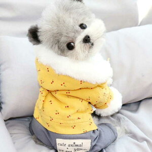  hbOEFA N WPbg `F[ p[X ~ H~ N {A ^ ^ RR p[J[ X IX m g L   AE^[ 킢  ё΍ h