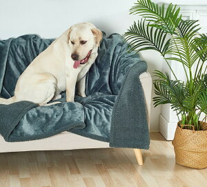 ybgpuPbg ybgѕz ~pbh hV[g h ۉ g 􂦂 ΍ ӂӂ h uPbg  Lp ETM xbh \t@[ NbV hJo[ }