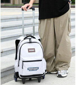 �h�� �K�i�o��� �u���[? �֎��X�[�c�P�[�X 2way ���w�� ���w�� �q���p�L����\�o�b�O �L�����[�P�[�X ��e��