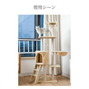 Lbg^[ u@LnEX gݗĎ ^s ܖ lR̂ Lbgh BƁ@lRpi XgX  Ki 