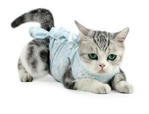 p㕞 ybgLppEFA ̏ی rߖh~ GUxXJ[ɑ Dp 畆ی r ~h~ pp j̎q ̎q p 