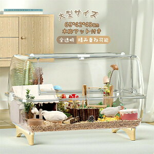 ybgP[W P[W ybgnEX SʃNA S ^TCY P[W  [߃gC ЎXCb` 2 L ̐^ K ֗ ϋv ʂ悢 ؋r}bgt ςݏd