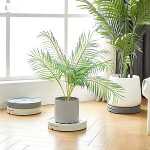 u Eh  v^[X^h M r  rg[t u 360°]LX^[t BLX^[t ی^ rł锫 Aؔ BLX^[t 