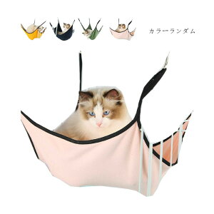 L nbN ~p  v LnbN lR P[W lRp ˂pnbN xbgpnbN