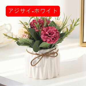 k  CeA  AWTC ԕrt A tFCNt[ ItBX iX X  ԃZbg ͂Ȃ bsv rO///Q v[g